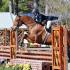 WTHJA Springtime Shows